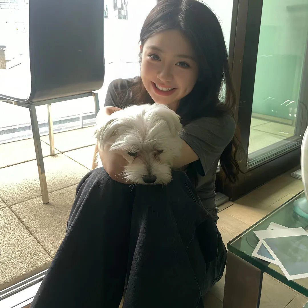 举起手来2：追击阿多丸号